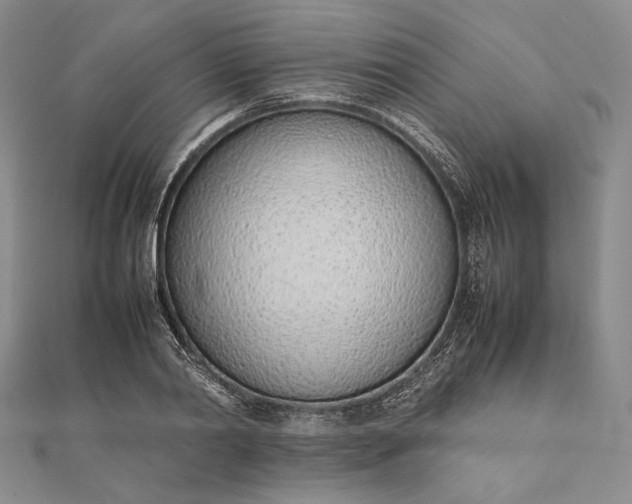 X0000111780790200908061114