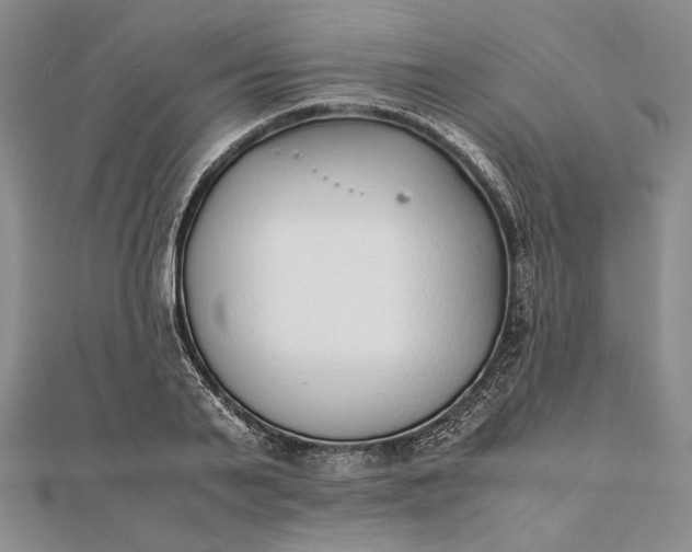 X0000111780791200908061114