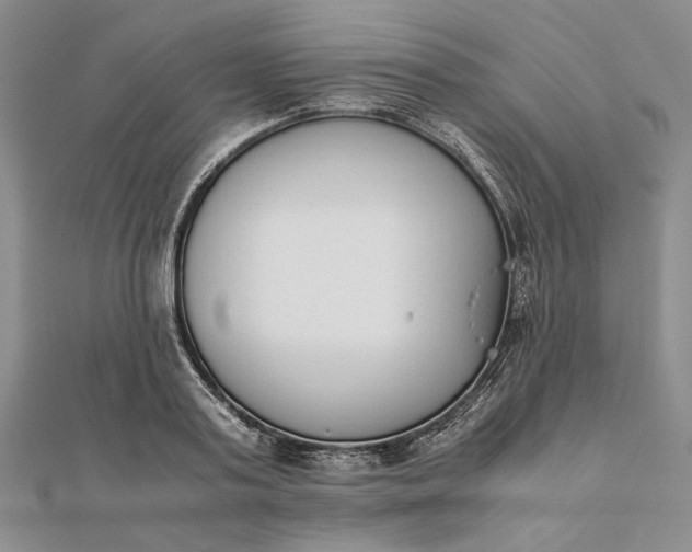 X0000111780795200908061114