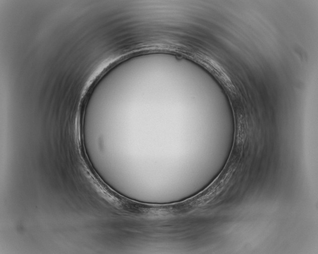 X0000111780796200908061114