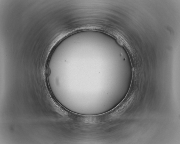X0000111780797200908061114