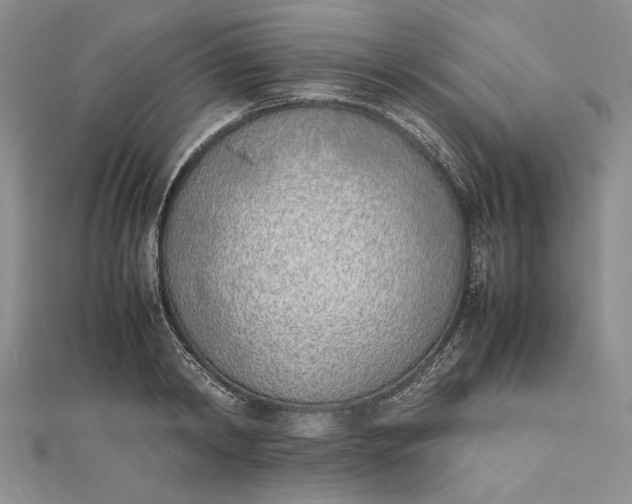 X0000111780798200908061114