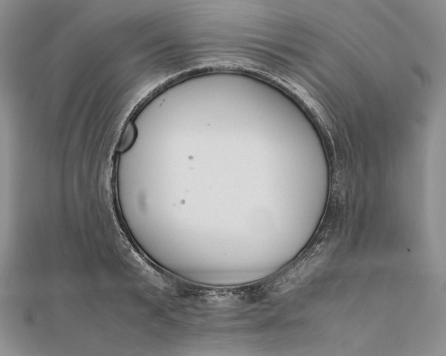 X0000111780799200908061114