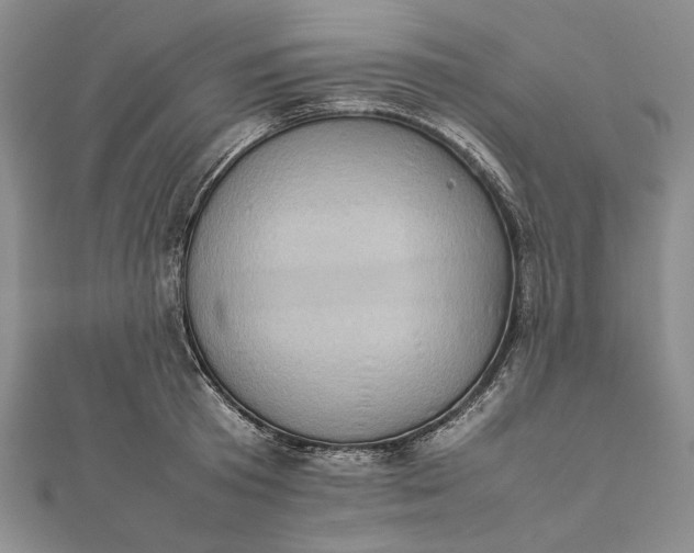 X0000111780801200908061113