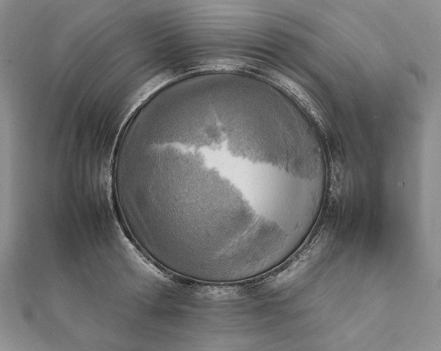 X0000111780802200908061113
