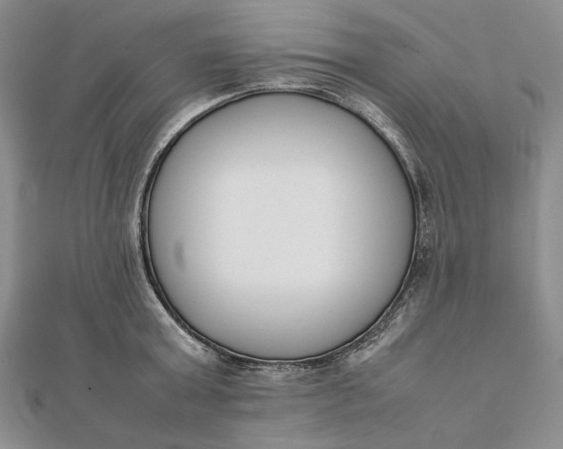 X0000111780803200908061113