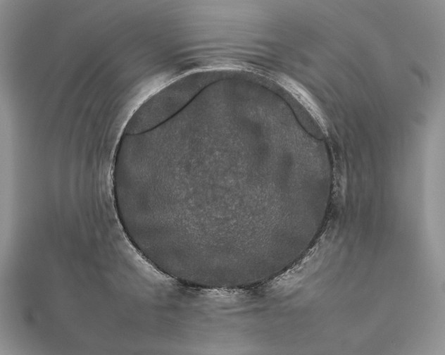 X0000111780805200908061113