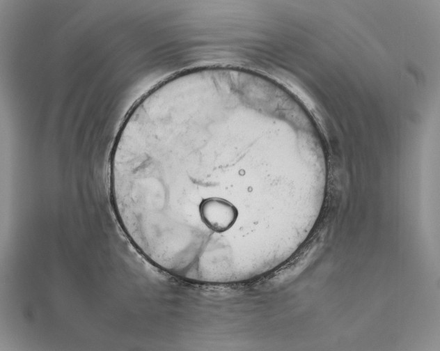 X0000111780807200908061113