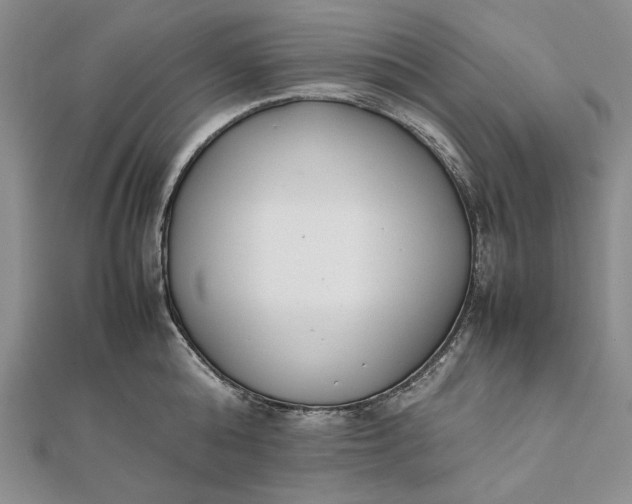 X0000111780808200908061113