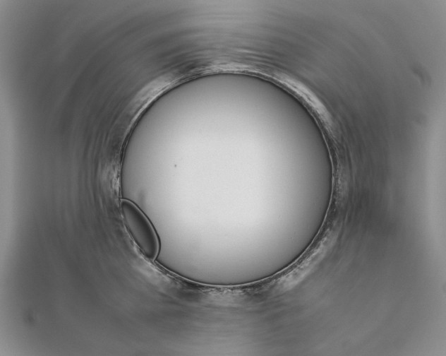 X0000111780809200908061113