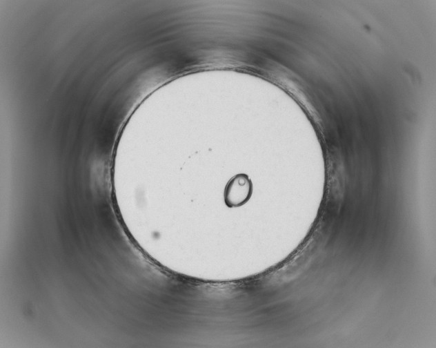 X0000111780810200908061113