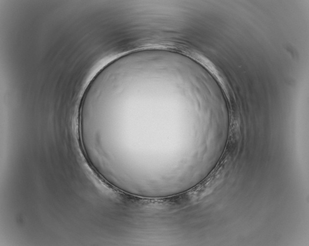 X0000111780811200908061113