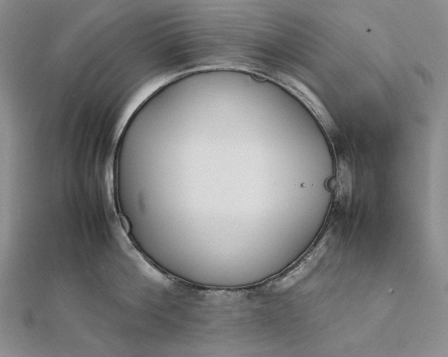X0000111780812200908061113