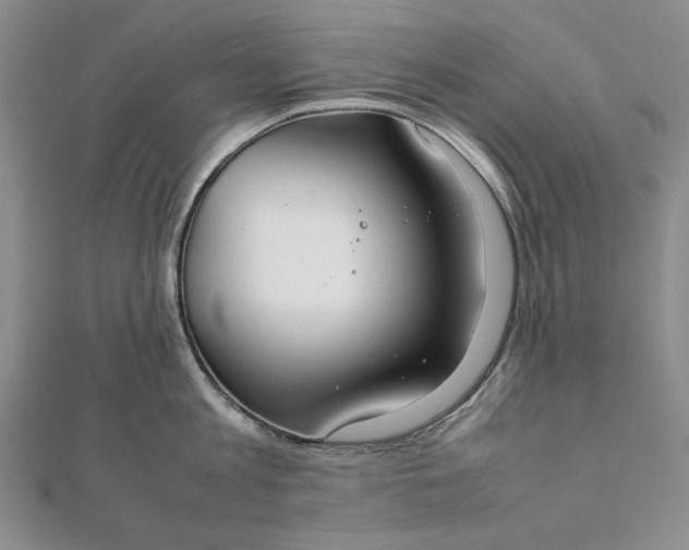 X0000111780813200908061113