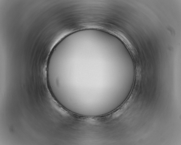 X0000111780814200908061113