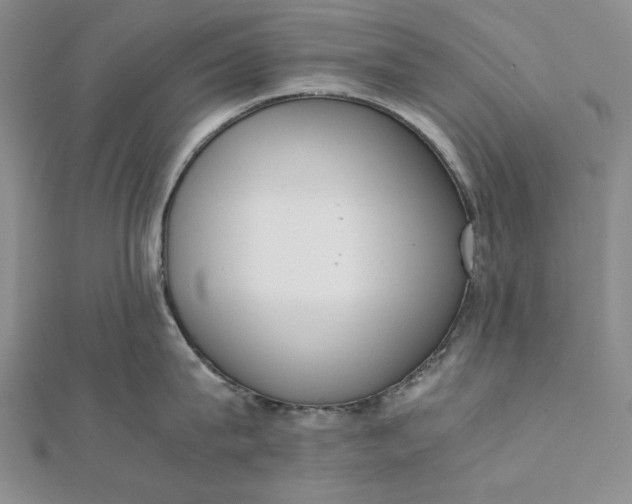 X0000111780815200908061113