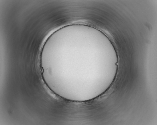 X0000111780816200908061113