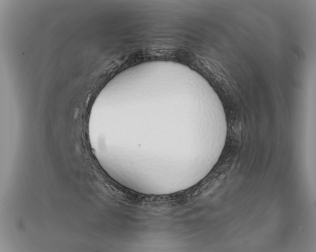 X0000111780817200908061113