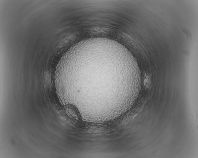 X0000111780819200908061113