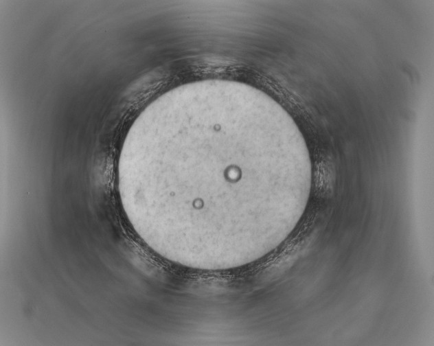 X0000111780820200908061113