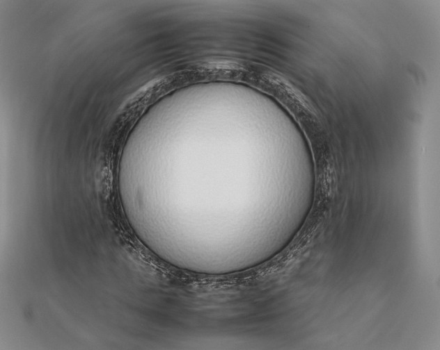X0000111780821200908061113