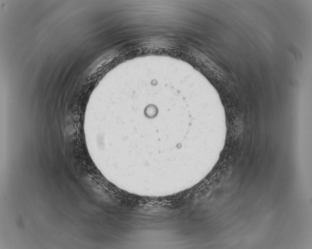 X0000111780824200908061113