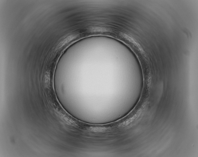 X0000111780825200908061113