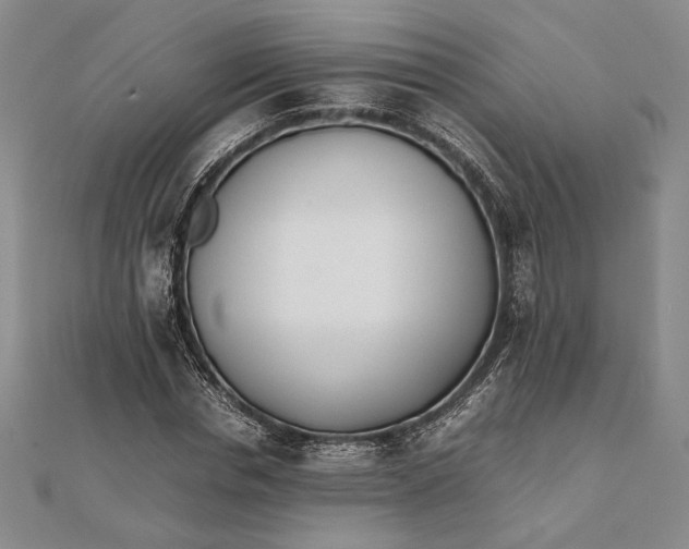 X0000111780826200908061113