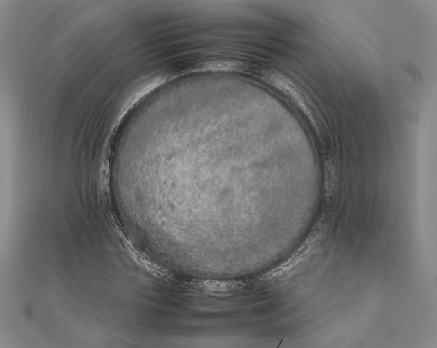 X0000111780827200908061113