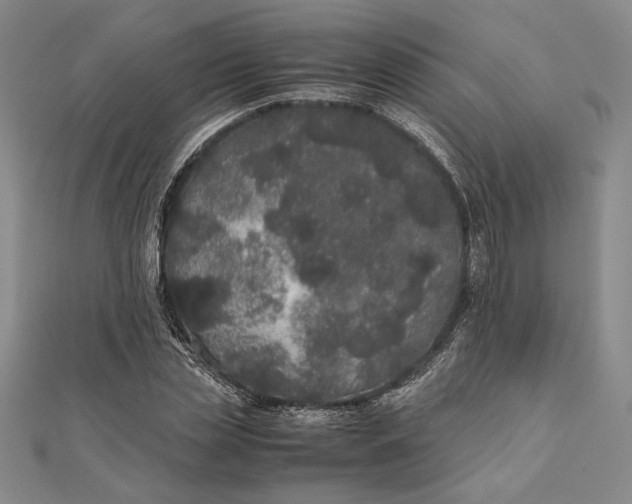 X0000111780829200908061113