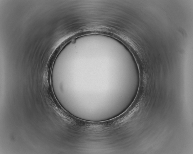 X0000111780830200908061113