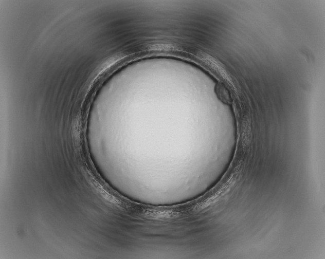 X0000111780831200908061113