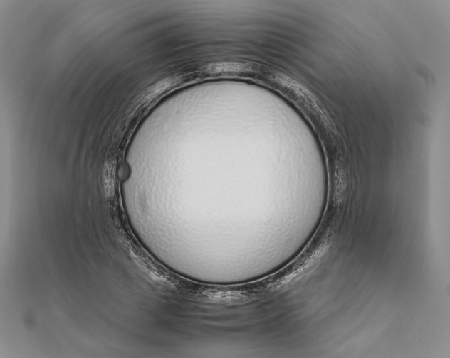 X0000111780833200908061113