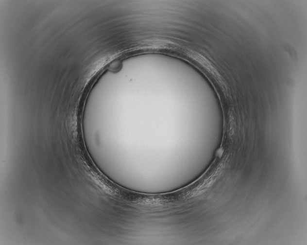 X0000111780834200908061113