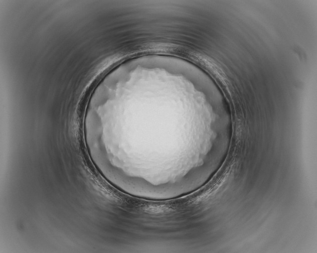 X0000111780835200908061113