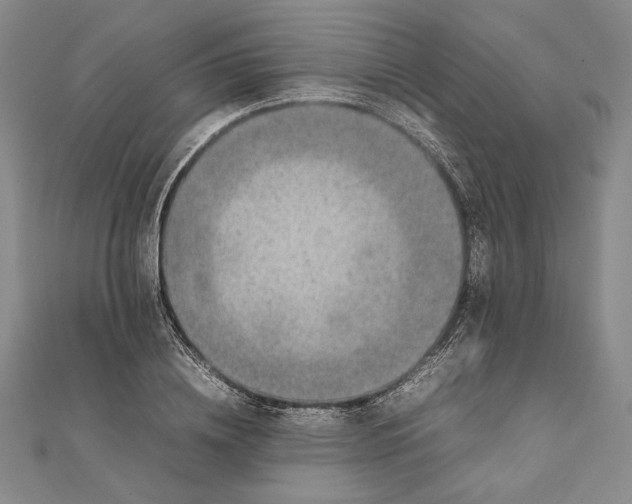 X0000111780836200908061113