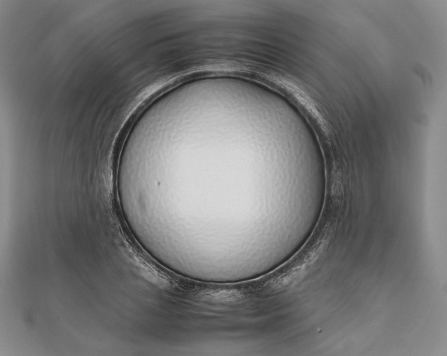 X0000111780837200908061113
