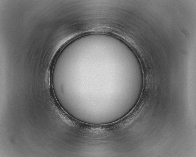 X0000111780838200908061113