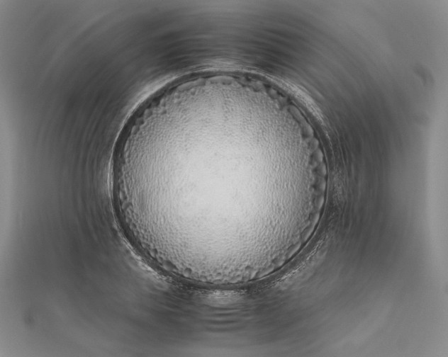 X0000111780839200908061113