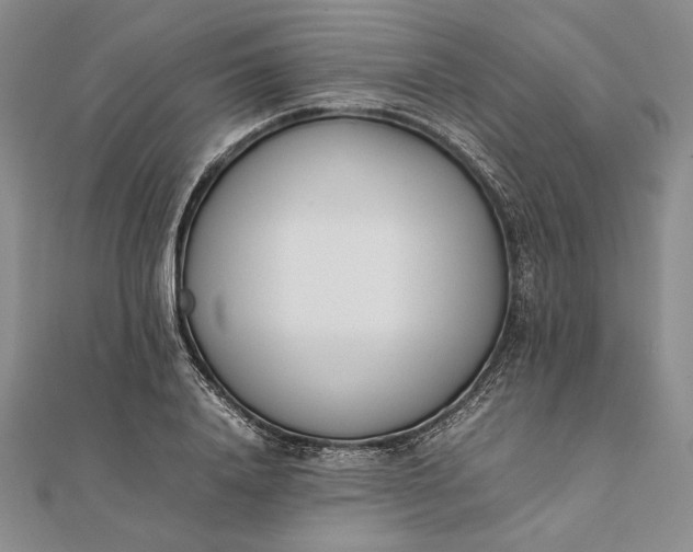 X0000111780840200908061113