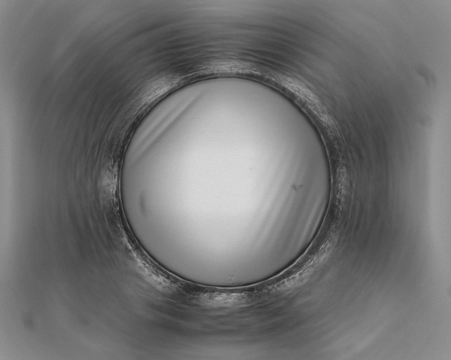 X0000111780841200908061113