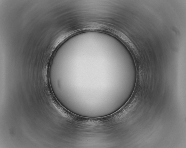 X0000111780842200908061113