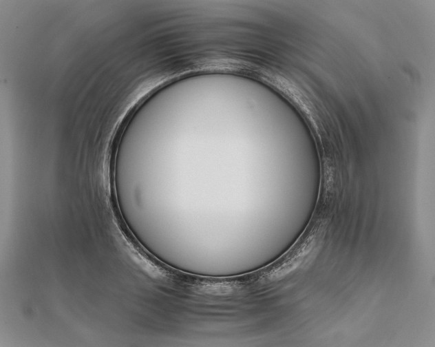 X0000111780843200908061113
