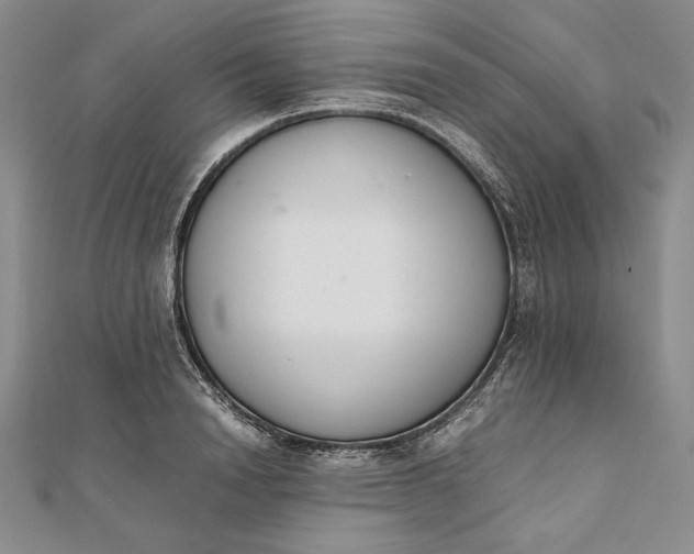 X0000111780846200908061113