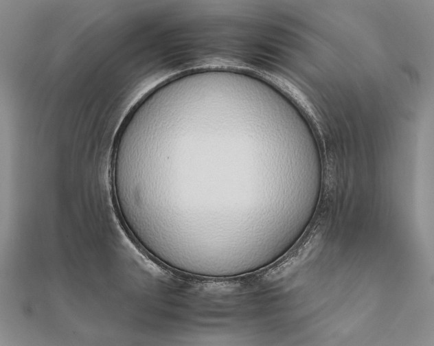 X0000111780847200908061113