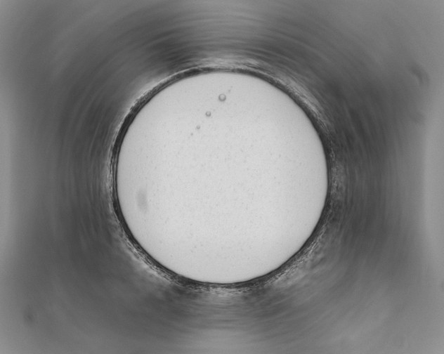 X0000111780848200908061113