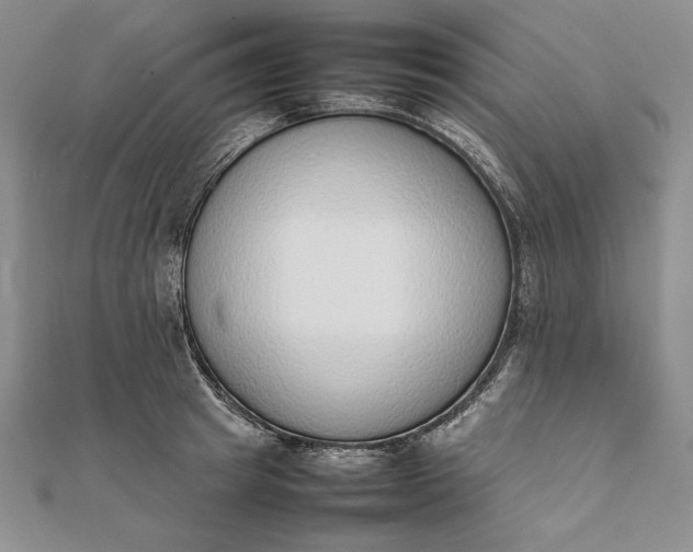 X0000111780849200908061113