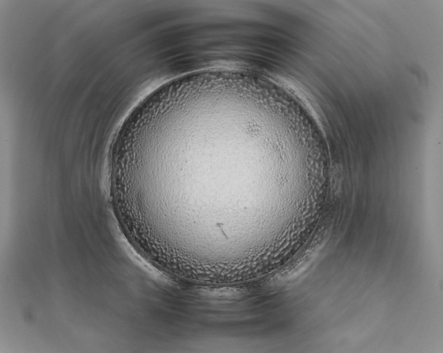 X0000111780851200908061113