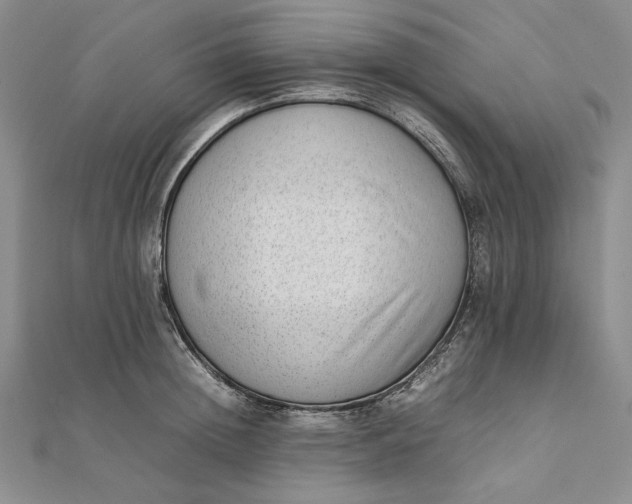 X0000111780852200908061113