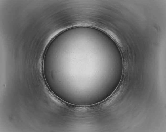 X0000111780854200908061113